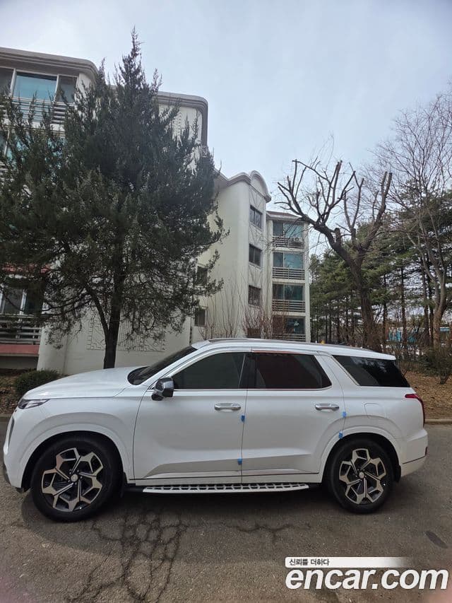 Hyundai Palisade Calligraphy, 2022 все фото