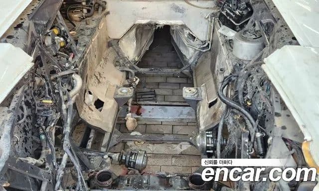 Lamborghini 무르시엘라고 LP640, 2007 8