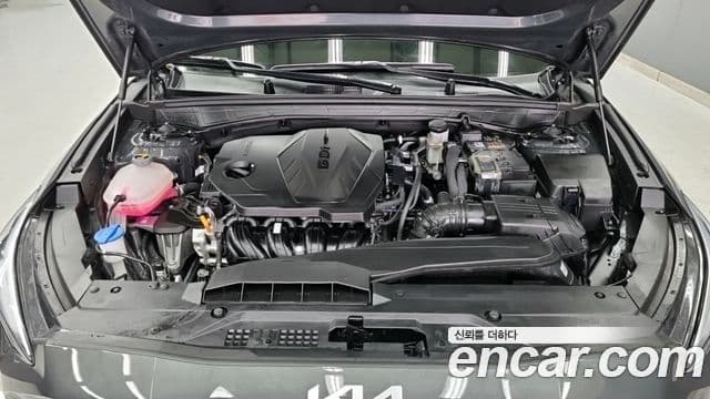 Kia K8 Noblesse, 2024 6