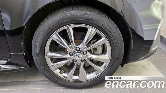 Kia The / новый New Carnival President, 2019 все фото