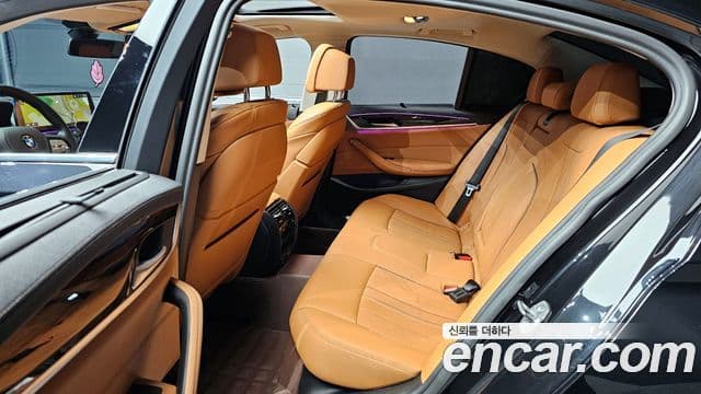 BMW 5시리즈 (G30) Luxury, 2022 13