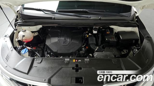 Kia Carnival 4세대 Prestige, 2021 6