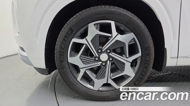 Hyundai Palisade VIP, 2021 все фото