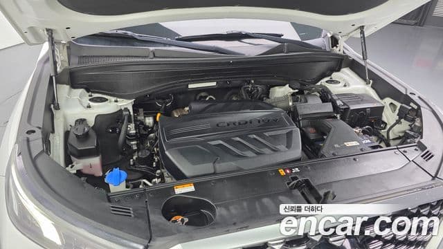 Hyundai Palisade VIP, 2021 6