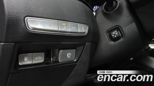 Kia The / новый K9 Best SelectionⅠ, 2021 14