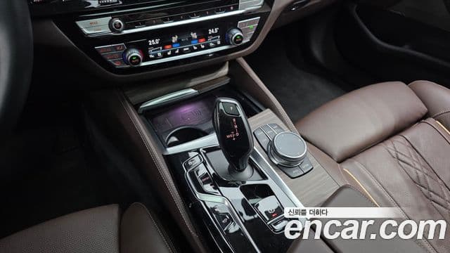 BMW 5시리즈 (G30) Luxury, 2023 9