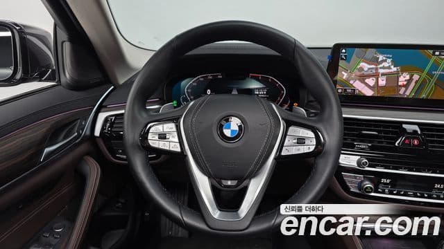 BMW 5시리즈 (G30) Luxury, 2023 13