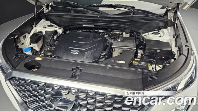 Hyundai Palisade VIP, 2021 6