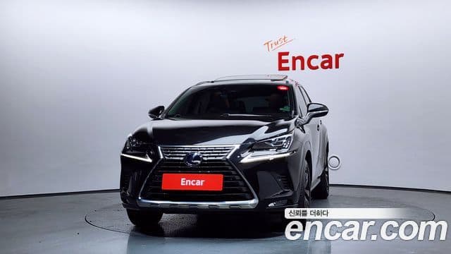 Lexus NX300h Executive, 2020 3