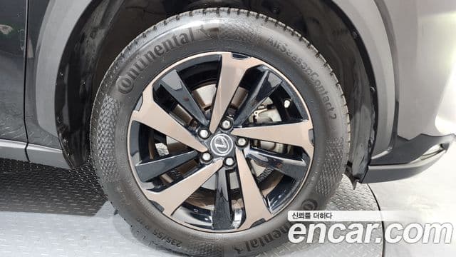 Lexus NX300h Executive, 2020 все фото