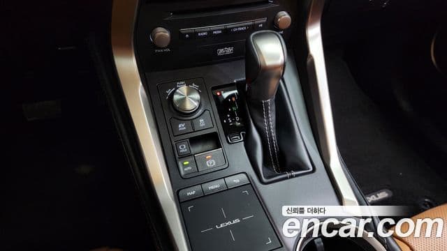 Lexus NX300h Executive, 2020 9