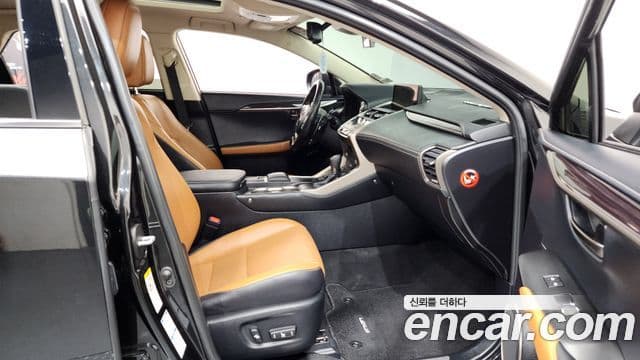 Lexus NX300h Executive, 2020 11