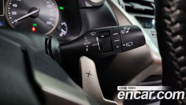 Lexus NX300h Executive, 2020 14