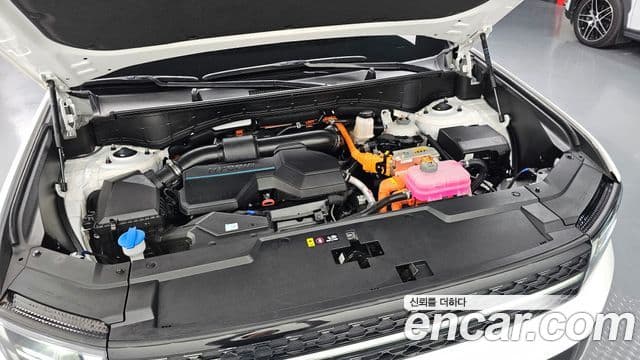 Hyundai Santa Fe (MX5) Calligraphy, 2024 6