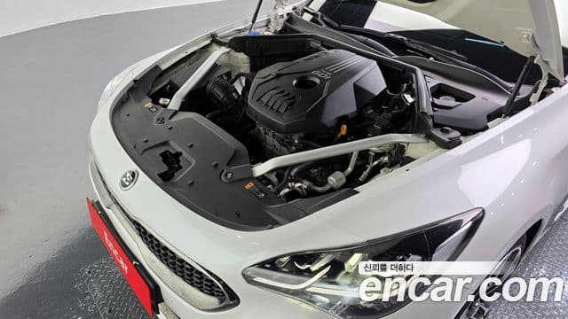Kia 스팅어 Platinum, 2019 6