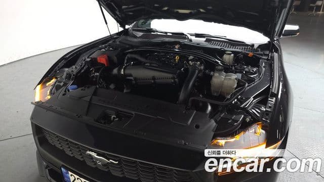 Ford Mustang 7세대 2.3 EcoBoost Premium купе, 2024 6