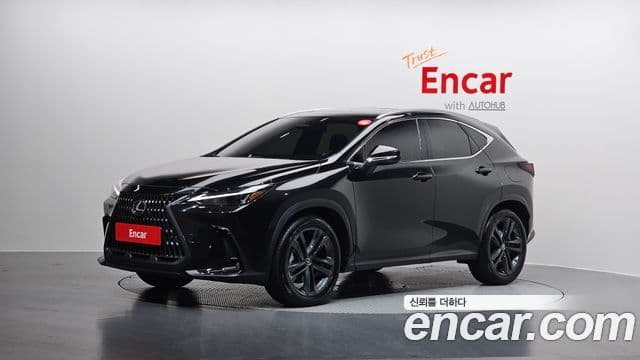 Lexus NX350h 2세대 Premium, 2025 1