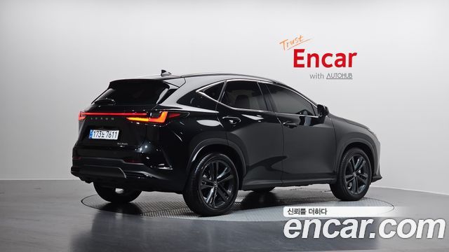 Lexus NX350h 2세대 Premium, 2025 2