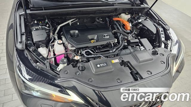 Lexus NX350h 2세대 Premium, 2025 6