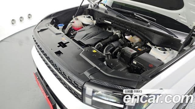 Hyundai Santa Fe (MX5) Calligraphy, 2024 6