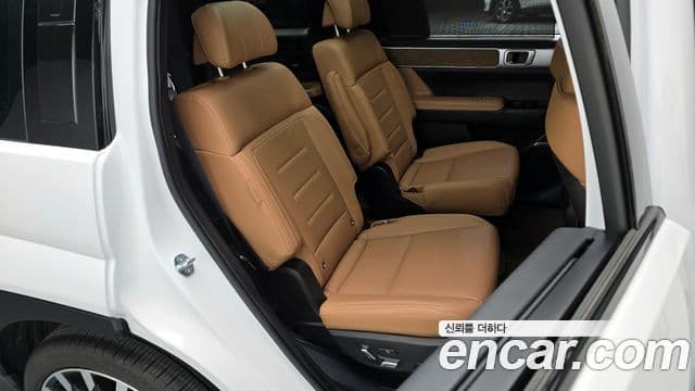 Hyundai Santa Fe (MX5) Calligraphy, 2024 12