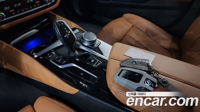BMW 5시리즈 (G30) Luxury, 2022 9