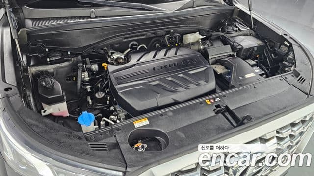 Hyundai Palisade Prestige, 2021 6