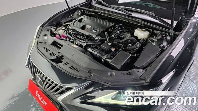 Lexus ES300h 7세대 Luxury Plus, 2023 6