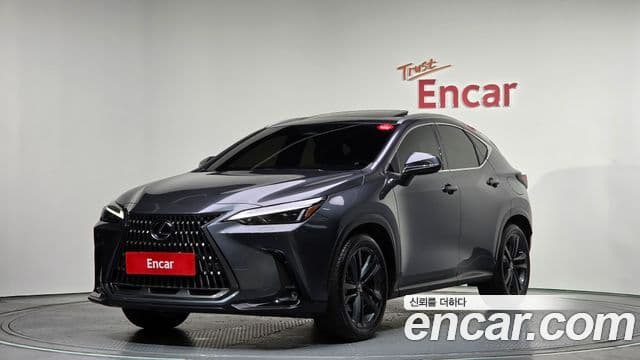 Lexus NX350h 2세대 Premium, 2025 1