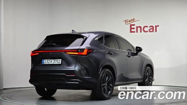 Lexus NX350h 2세대 Premium, 2025 2