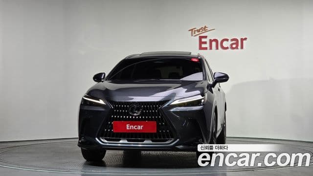 Lexus NX350h 2세대 Premium, 2025 3
