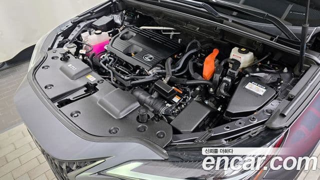 Lexus NX350h 2세대 Premium, 2025 6
