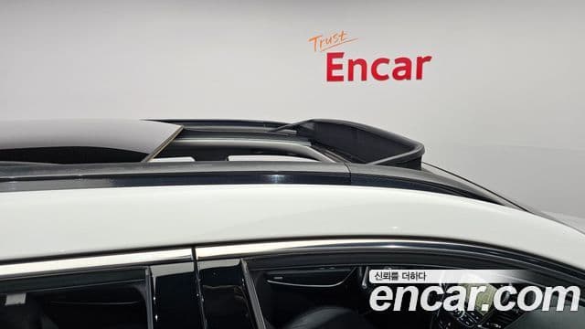 Hyundai Maxcruz Special, 2014 20