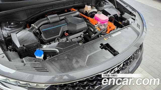 Kia Sorento 4세대 Noblesse, 2023 6