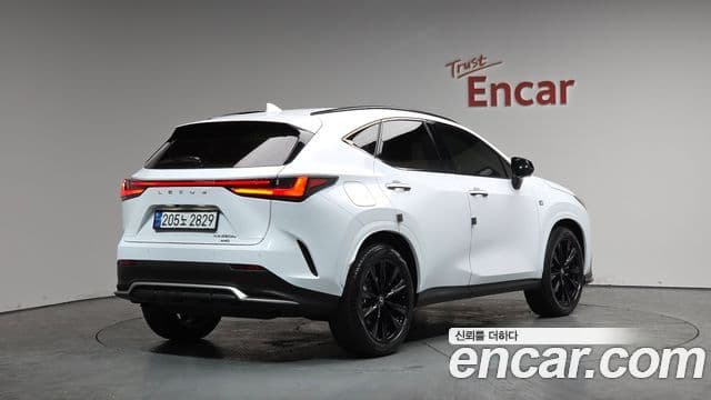 Lexus NX450h+ 2세대 F-Sport, 2024 2