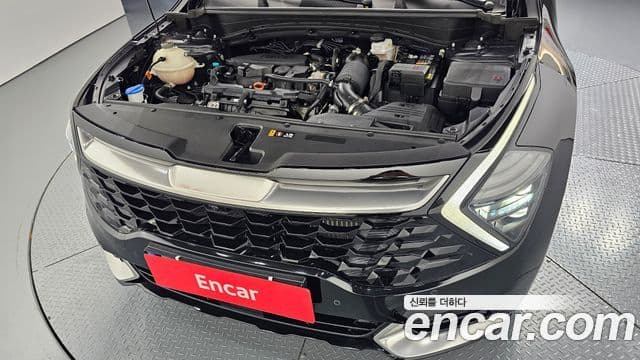 Kia Sportage 5세대 Signature, 2022 6