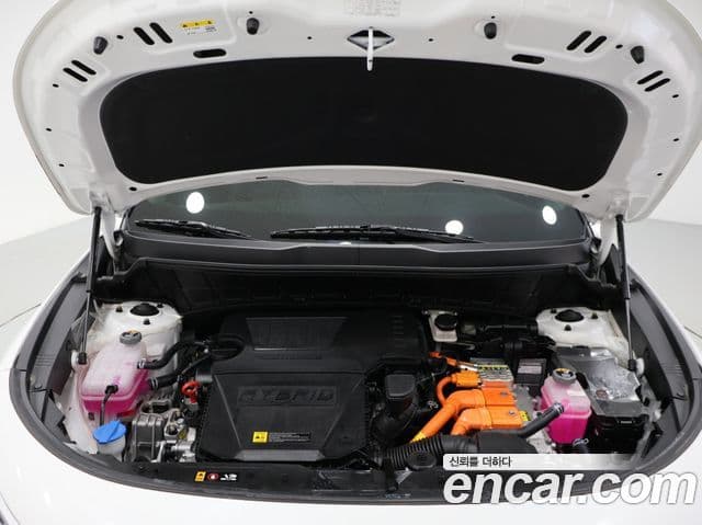 Kia D All New Niro Trendy, 2025 17