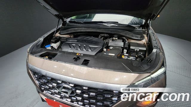 Hyundai Santa Fe TM Premium, 2020 6