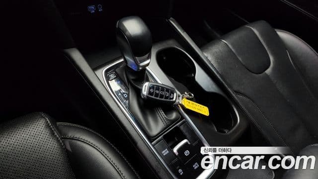 Hyundai Santa Fe TM Premium, 2020 9