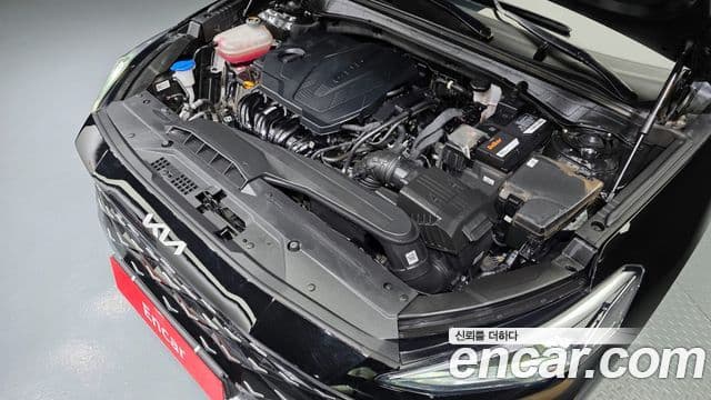 Kia K8 Noblesse Light, 2022 6