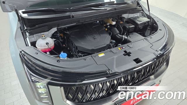 Kia The / новый New Carnival 4세대 Noblesse, 2025 6