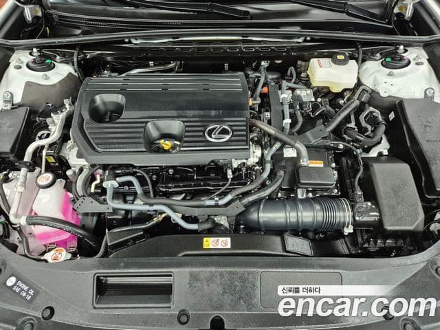 Lexus ES300h 7세대 Executive, 2026 19