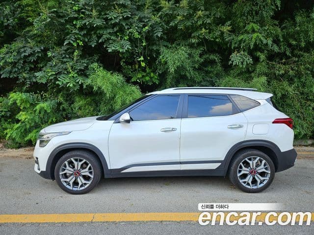 Kia Seltos Noblesse, 2020 3