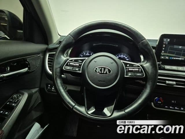 Kia Seltos Noblesse, 2020 10