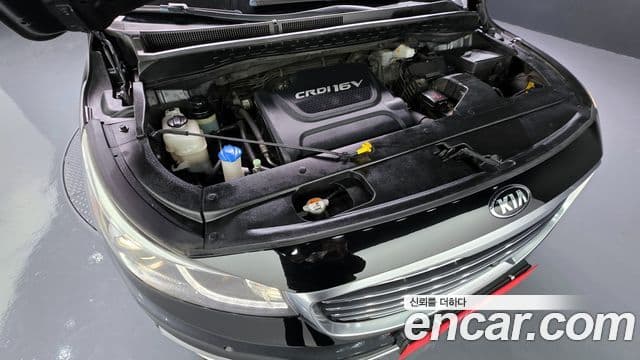 Kia All New Carnival Noblesse, 2016 6