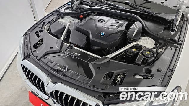 BMW 5시리즈 (G30) Luxury, 2022 6