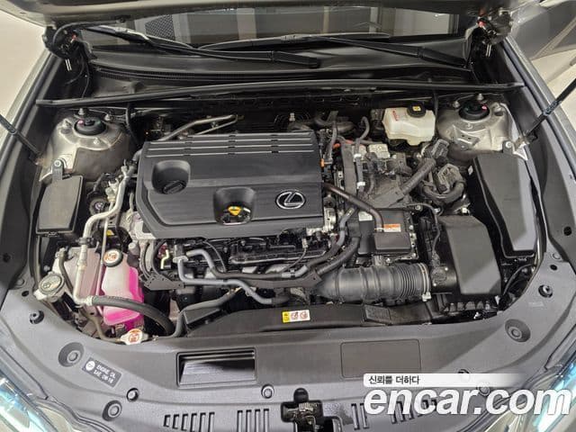 Lexus ES300h 7세대 Luxury Plus, 2024 6