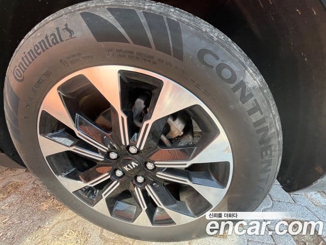 Kia Carnival 4세대 Signature, 2021 7