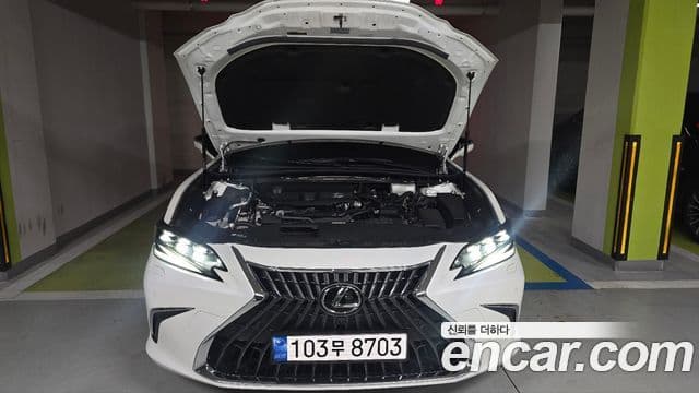 Lexus ES300h 7세대 Executive, 2025 19