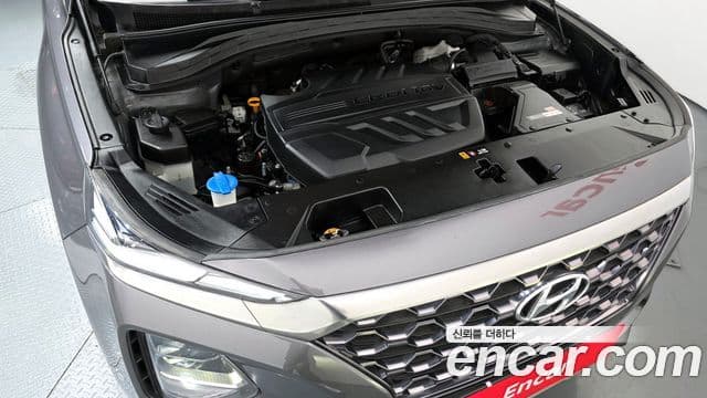 Hyundai Santa Fe TM Exclusive Special, 2019 6